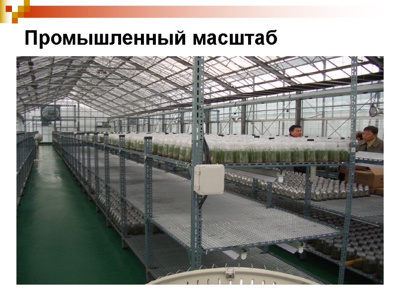 Промышленный масштаб